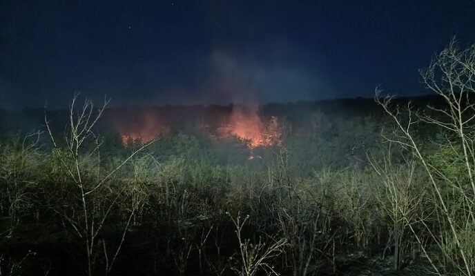 incendiu violent in satul casian au intervenit pompierii cu 7 autospeciale de stingere 68749879a2ea3