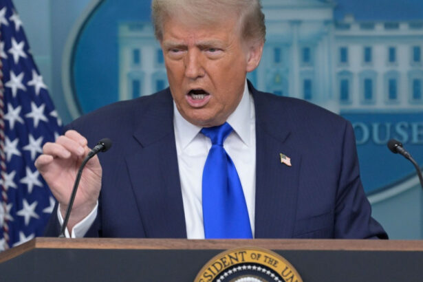 india prima victima a tarifelor lui donald trump ce vizeaza tarile care cumpara petrol rusesc taxele impuse de casa alba 688a2dbc1edde
