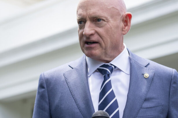 ionut mosteanu s a intalnit cu mark kelly membru al comisiei pentru forte armate in senatul sua ce au discutat cei doi 6866ee34e9b34