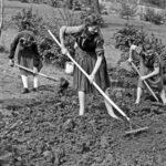 landurile germaniei nu cad de acord asupra inceperii vacantei de vara pentru elevi complicatul sistem german de vacanta prin rotatie 68787684bad5f