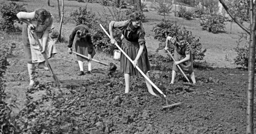 landurile germaniei nu cad de acord asupra inceperii vacantei de vara pentru elevi complicatul sistem german de vacanta prin rotatie 68787684bad5f