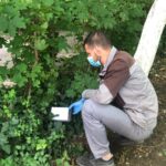 licitatia de peste 70 de milioane de lei pentru deratizare la constanta contestata cnsc obliga primaria sa modifice caietul de sarcini 68757912b819e