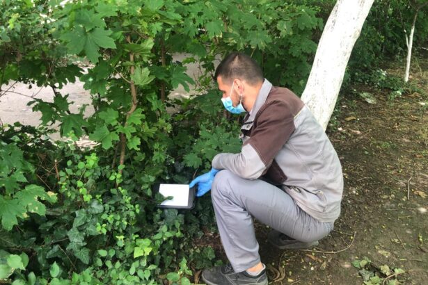 licitatia de peste 70 de milioane de lei pentru deratizare la constanta contestata cnsc obliga primaria sa modifice caietul de sarcini 68757912b819e