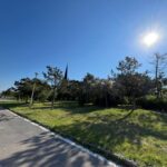 lucrarile de reabilitare a parcului tabacarie se apropie de final trenuletul ar putea fi repus in functiune 687187cea3e86