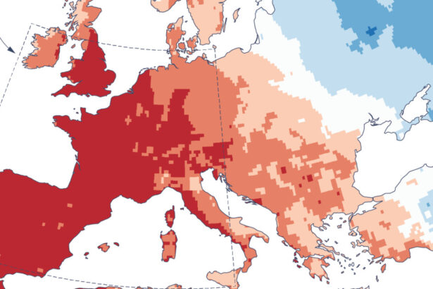 luna iunie a fost cea mai calda inregistrata vreodata in europa de vest 2 300 de decese provocate de valul de caldura 686dff9cf277d