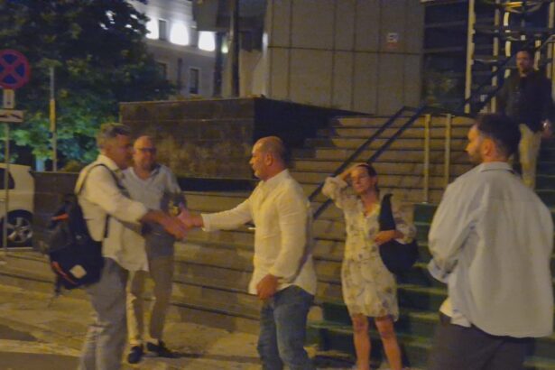 motivarea judecatorilor in dosarul fabrica de mosteniri ce rol aveau vasile deacu si vlad virgil 68769d5aea585