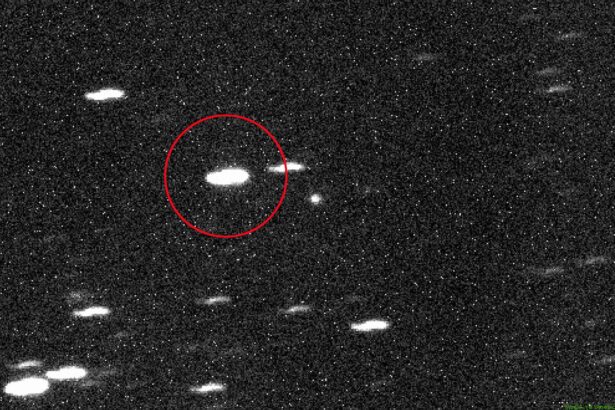 nasa confirma ca obiectul misterios care trece prin sistemul solar este un vizitator interstelar 6868de72cf8c3