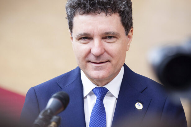 nicusor dan interviu in presa germana despre alegeri relatia cu trump si deficit am o intelegere foarte geometrica a lucrurilor 687a3183e6588