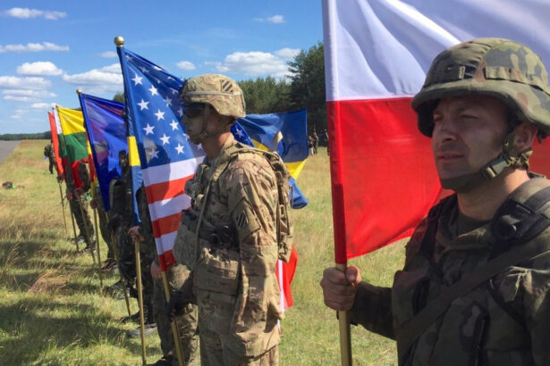 noul obiectiv pentru aparare al nato o misiune imposibila pentru tarile europene e complet iluzoriu avertizeaza expertii 687f11a0228a7