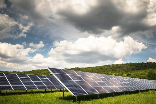 o firma din grupul ikea investeste 35 de milioane de euro intr un parc fotovoltaic in comuna pantelimon 6874da32d434c