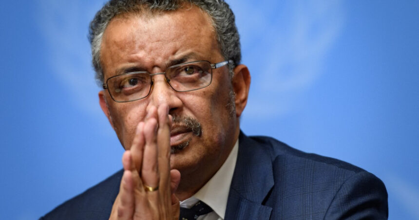 oms denunta atacurile israeliene asupra sediilor sale din fasia gaza 687f4a716ab3a