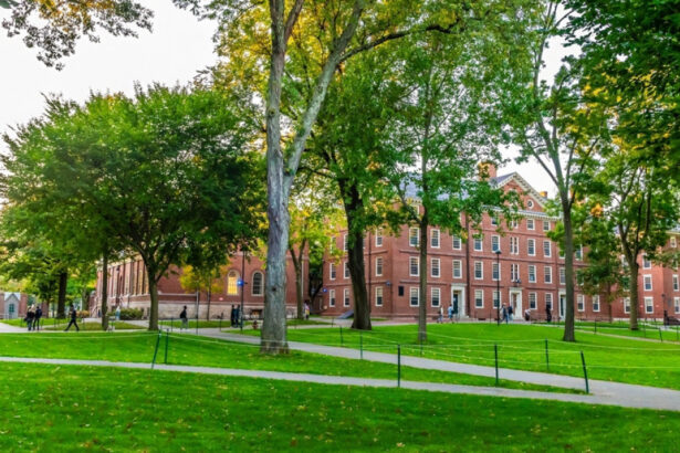 ordonanta a administratiei trump pentru a obtine de la universitatea harvard documente interne despre studentii sai straini 686ec10083664