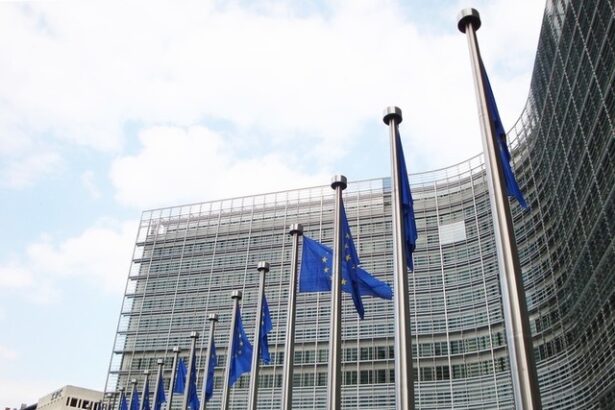 parlamentul european a ramas fara aer conditionat in plina canicula 686529069a8b8