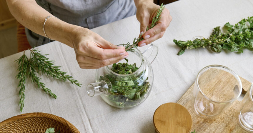 planta aromatica medicinala care sprijina si imbunatateste memoria medicii afirma poate sustine functiile cognitive 6863692263437