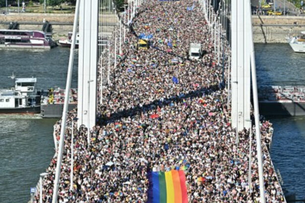 politia ungara anunta ca nu i va ancheta pe participantii la marsul pride din budapesta 686ceaaac5798