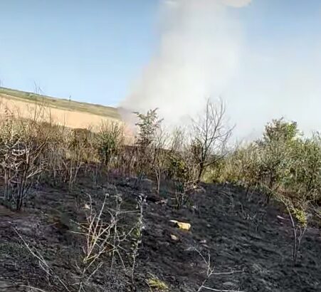 pompierii intervin pentru stingerea a doua incendii de vegetatie uscata in judetul constanta 687bc4f3d4054