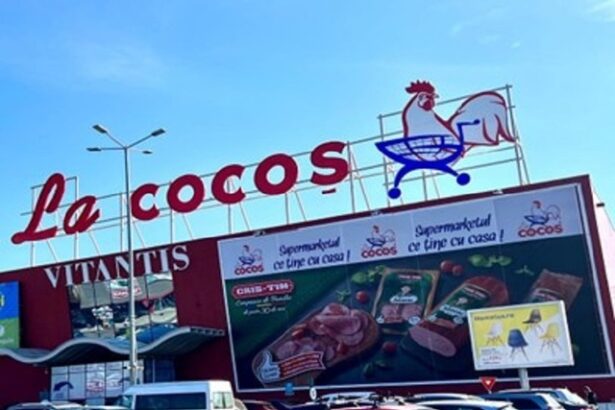 preluarea magazinelor la cocos de catre grupul schwarz care opereaza retelele kaufland si lidl analizata de concurenta 686d191270ef3