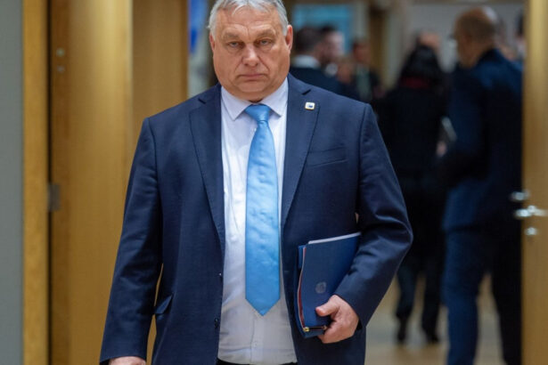 premierul ilie bolojan si viktor orban prim ministrul ungariei intalnire informala miercuri seara la palatul victoria 687fc4e66705d