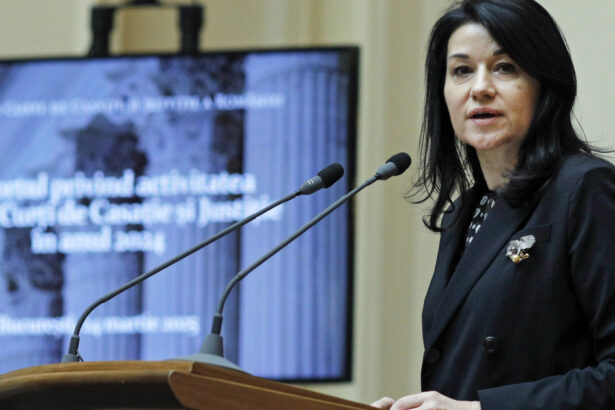 presedinta iccj corina alina corbu ramane inexplicabila apetenta manifestata uneori in a stimula societatea impotriva justitiei 686a71234c5be