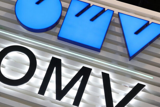 presedintele austriei despre activitatea omv in romania nu mai e multumita doar cu activitatea de exploatare a gazului si petrolului 6883c48945cd0
