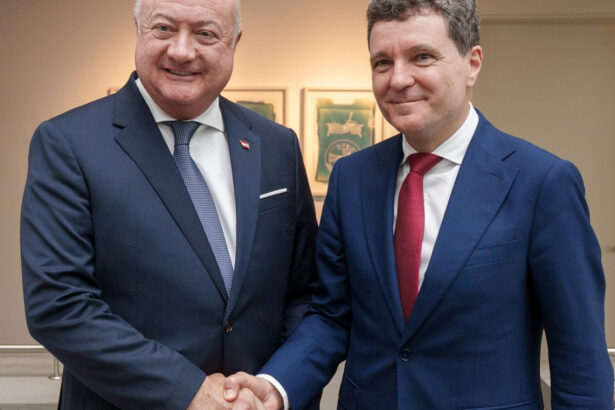 presedintele nicusor dan si cancelarul federal austriac christian stocker s au intalnit la salzburg ce au discutat cei doi 6885156729827