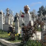 primaria comunei cumpana apel la cetateni indepartati vegetatia uscata din jurul locurilor de veci pentru a evita incendiile 687f48d791781
