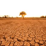 primul semnal al schimbarilor climatice a fost detectat acum 130 de ani 6866a587c1eb9