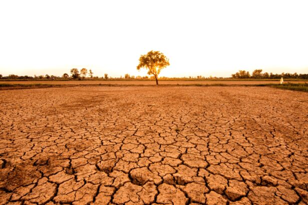 primul semnal al schimbarilor climatice a fost detectat acum 130 de ani 6866a587c1eb9