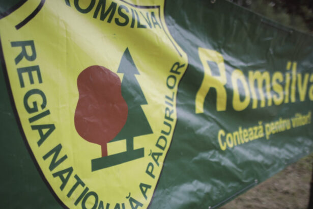 proiectul de hotarare privind reorganizarea romsilva pus joi in dezbatere anunta ministra mediului dupa o discutie cu nicusor dan 68814f83dcc8c