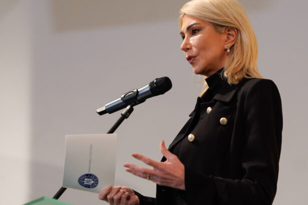 raluca turcan despre reforma pensiilor speciale nu se poate face decat impreuna cu sistemul judiciar altfel s ar ajunge la un blocaj 688b60c37934d