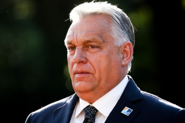 regimul lui viktor orban risca sa se prabuseasca din cauza starii precare a economiei ungaria este prinsa intr un cerc vicios 68845e9465777