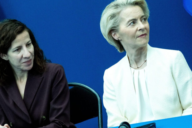 roxana minzatu nemultumita de planul bugetar al ursulei von der leyen sefa ce face concesii ca sa evite o revolta interna 68761302ea83c