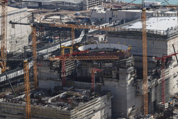 rusia analizeaza vinderea participatiilor la centrala nucleara pe care o construieste in turcia 68643ca7ce0b9