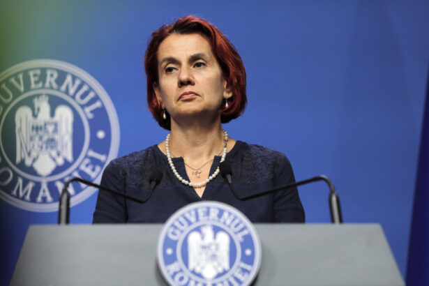 scandalul anastasiu ioana dogioiu leaga acuzatiile la adresa vicepremierului de reforma companiilor de stat 68837ae48e13d