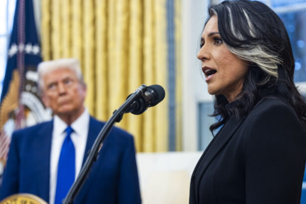 sefa serviciilor nationale americane de informatii cere urmarirea penala a lui barack obama ce acuzatii ii aduce tulsi gabbard 687fa30d09ebc