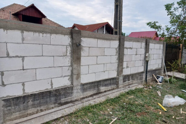 si a schimbat vechiul gard si a construit o bucatarie de vara dar a uitat sa obtina autorizatie iar acum este obligat sa le darame 6888004a15e81