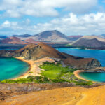 specia din insulele galapagos care pare sa evolueze in sens invers 68712acf797b2