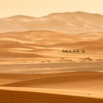test de cultura generala care este cel mai mare desert din lume 68839855e3d1e