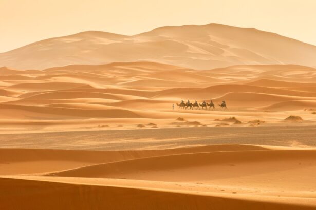 test de cultura generala care este cel mai mare desert din lume 68839855e3d1e