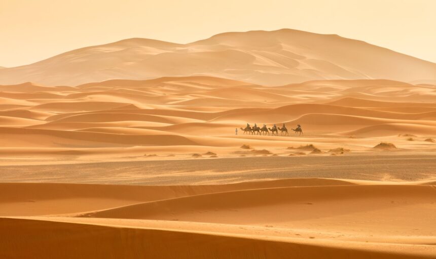 test de cultura generala care este cel mai mare desert din lume 68839855e3d1e