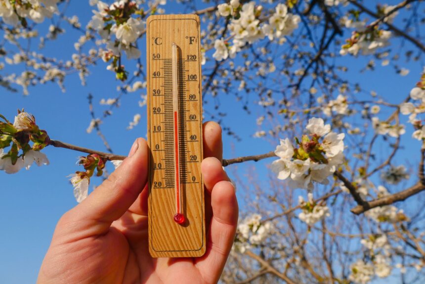 test de cultura generala care sunt singurele tari care folosesc fahrenheit 6878fe0a19078