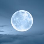 test de cultura generala ce animal poate fi vazut pe luna 686fd1fa981bb
