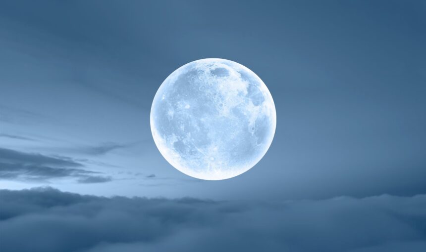 test de cultura generala ce animal poate fi vazut pe luna 686fd1fa981bb