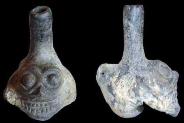 test de cultura generala ce era fluierul aztec al mortii 686d363c8f66f