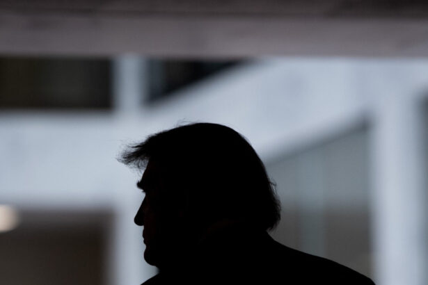 trump lucreaza la schimbarea regimurilor in europa e un fapt nu teorie a conspiratiei euobserver 686f430faf07b