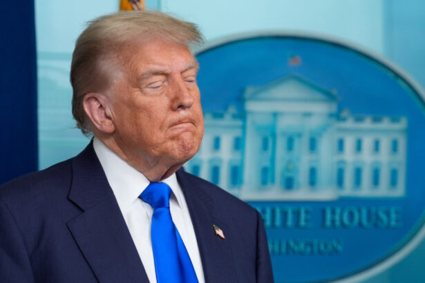 trump se da neutru ii cere lui zelenski sa nu atace moscova si lui putin sa accepte un armistitiu rachete patriot pe drum spre kiev 687752d510d32