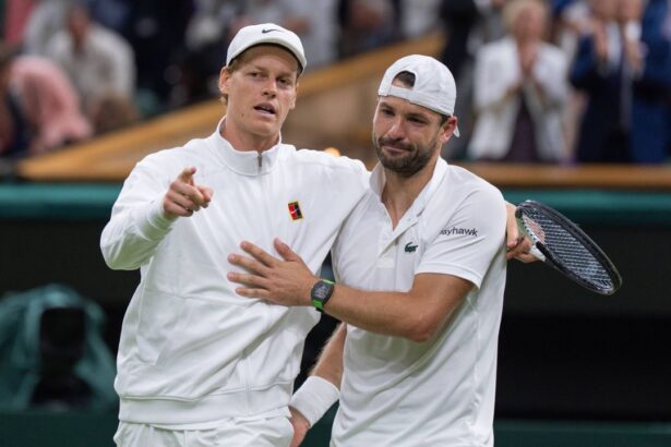 video gestul superb al lui sinner la wimbledon ce a facut pentru dimitrov accidentat 686cc30b7ba21