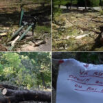 video imagini dezolante in marile parcuri ale bucurestiului copaci cazuti si amenajari distruse dupa furtuna primaria e de negasit 68824c28b02b8