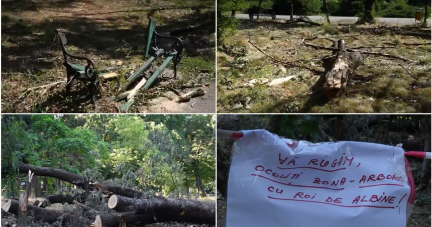 video imagini dezolante in marile parcuri ale bucurestiului copaci cazuti si amenajari distruse dupa furtuna primaria e de negasit 68824c28b02b8