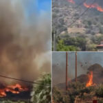 video incendii devastatoare in grecia si turcia doi morti in izmir mii de locuitori si turisti au fost evacuati 6867e008a0984